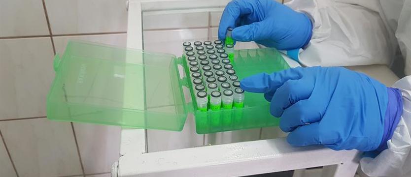 Więcej punktów testowania w kierunku koronawirusa