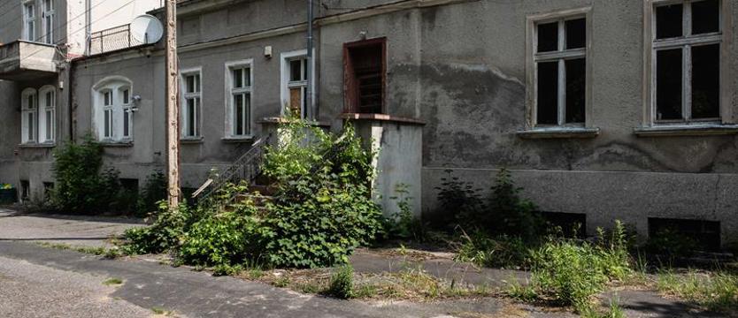 Zielony Dwór znów na sprzedaż