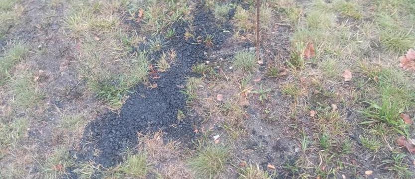 Czytelniczka oburzona asfaltem na trawniku