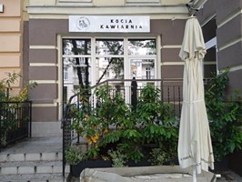 Powstaje pierwsza kocia kawiarnia w Szczecinie