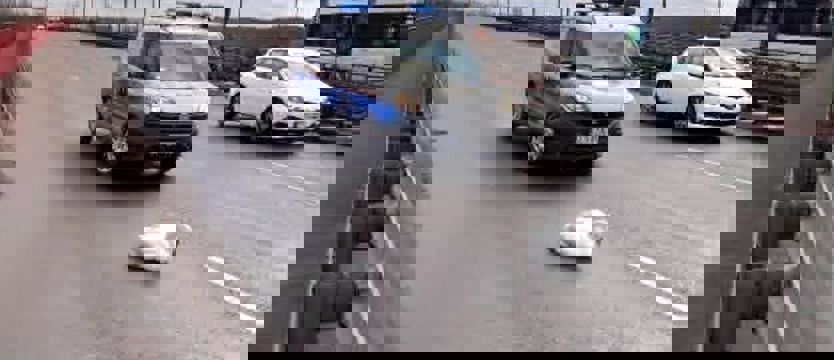 Ranny łabędź na Moście Pionierów. Samochody hamowały na śliskiej jezdni