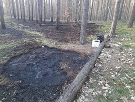 Bezmyślna zabawa piknikowiczów z ul. Tczewskiej. Podpalili las