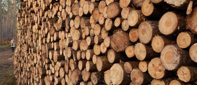 Niepewność przedsiębiorców. Co przyniesie 2023 rok?