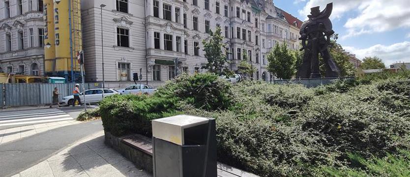 Gniazda, korytarze, jamy, zapadliska i kolonie... gryzoni. Szczury ze Złotego Szlaku