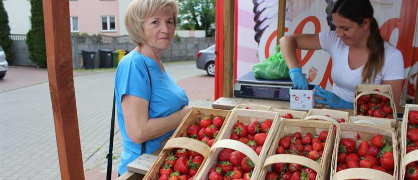 Sezon nabiera rozpędu, ale co dalej? Plantatorzy przekonują – kupujmy lokalne