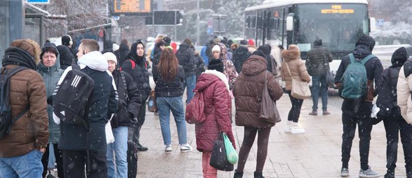 Tramwaje w zajezdniach, ZDiTM podstawia autobusy. Komunikacyjny paraliż i dezorganizacja