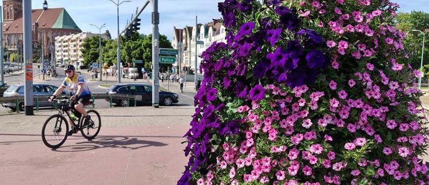 Feeria barw i morze płatków. Kwiaty w desancie na Szczecin