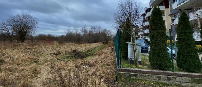 Krok w stronę parku. Kołobrzescy radni zgodzili się na zmianę