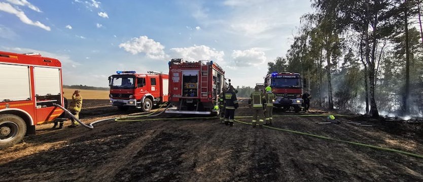 Trwa dogaszanie pożaru lasu w okolicach wsi Witnica