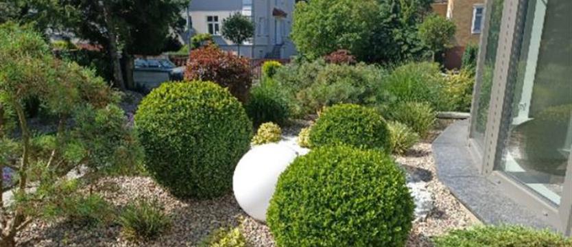 Cały Szczecin w kwiatach. Ogród to moje sanatorium