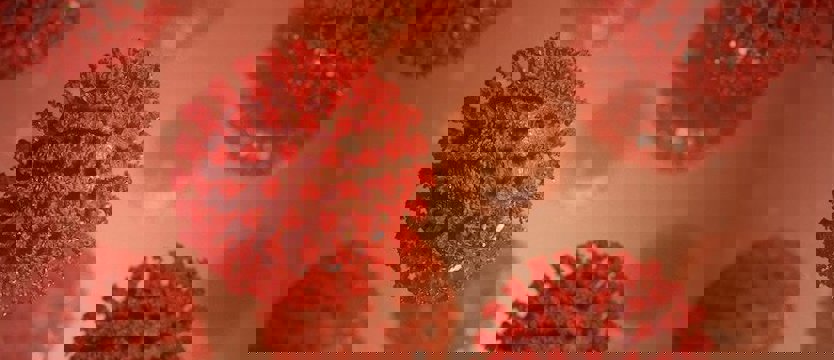 W niedzielę w kraju 24 785 zakażeń koronawirusem. Zmarło 236 osób