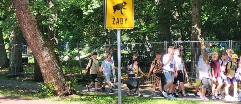Prace w kołobrzeskim parku nadal wstrzymane. Uwaga, żaby!