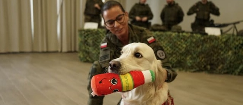 Sobotni piknik patriotyczno-zdrowotny. Oddawali krew w hołdzie żołnierzom wyklętym