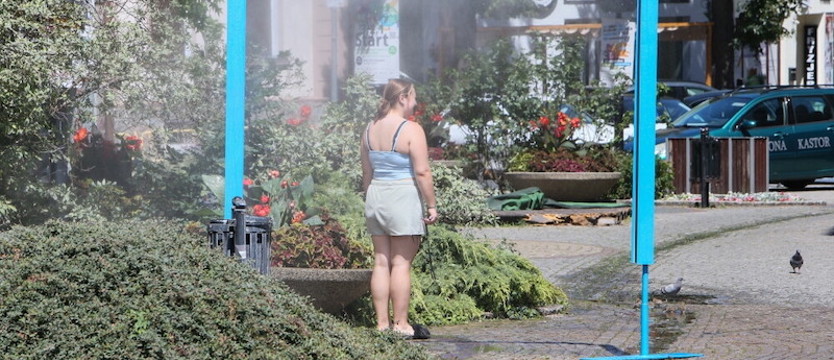 Do Polski zacznie napływać coraz cieplejsze powietrze