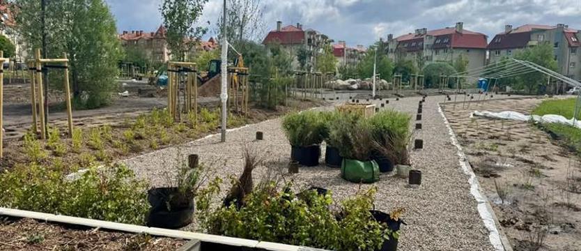 Zieleń zamiast betonu