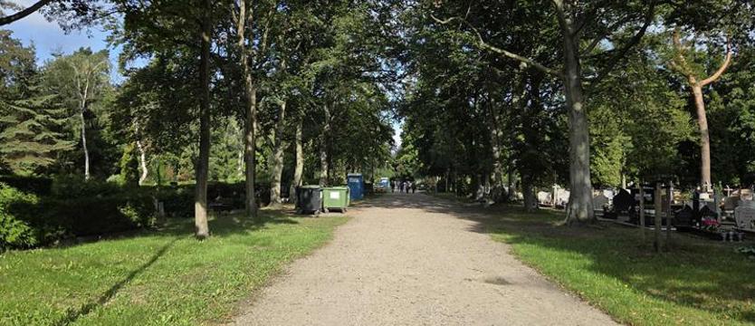 Remont w najmniej dogodnym momencie. Na cmentarzu w Dąbiu rusza przebudowa głównej alei