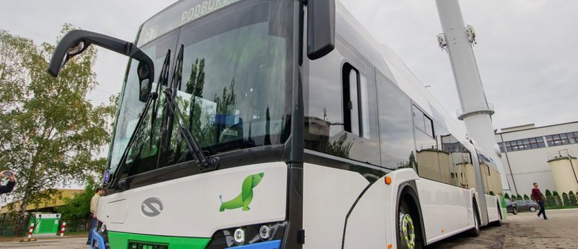 Ogłosili przetarg na cztery kolejne autobusy elektryczne dla Szczecina