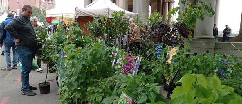 Wystawny weekend Wałów Chrobrego. Kiermasze: ogrodniczy i regionalnego jadła