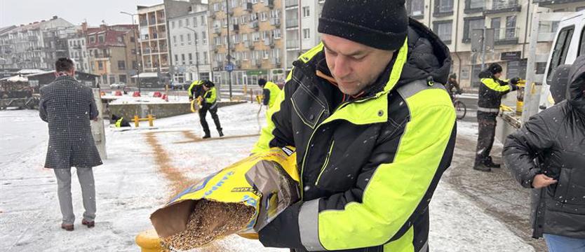 Tona ziarna dla ptaków
