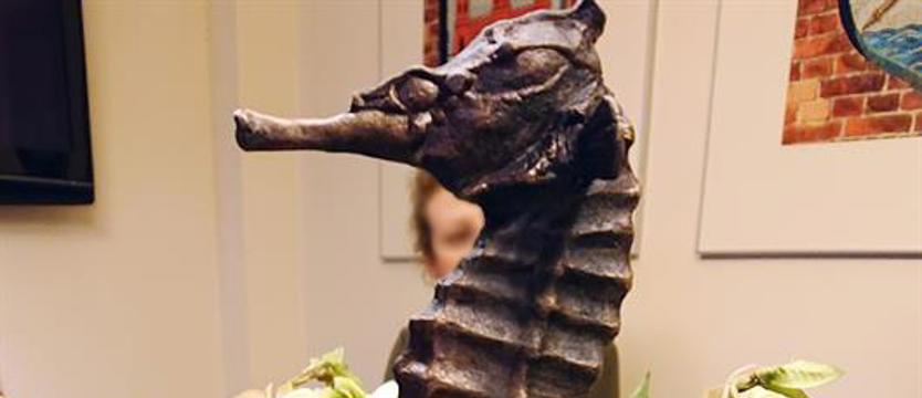 Dla kogo Koniki? Kołobrzeg szykuje się do wręczenia prestiżowych nagród