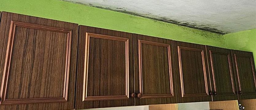 Skarży się na grzyb w mieszkaniu. Obawy o mieszkanie i zdrowie