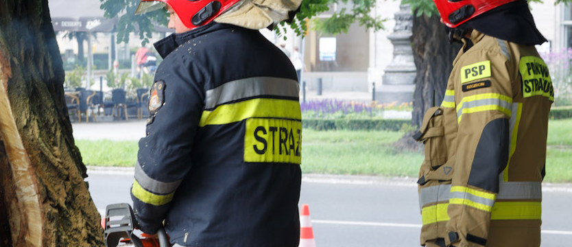 Powalone drzewa, zalane drogi. Kilkanaście interwencji w regionie