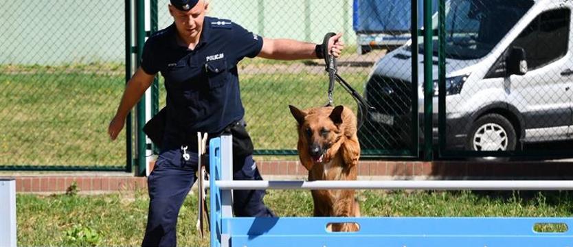 Policjanci i ich czworonożni partnerzy walczyli o zwycięstwo