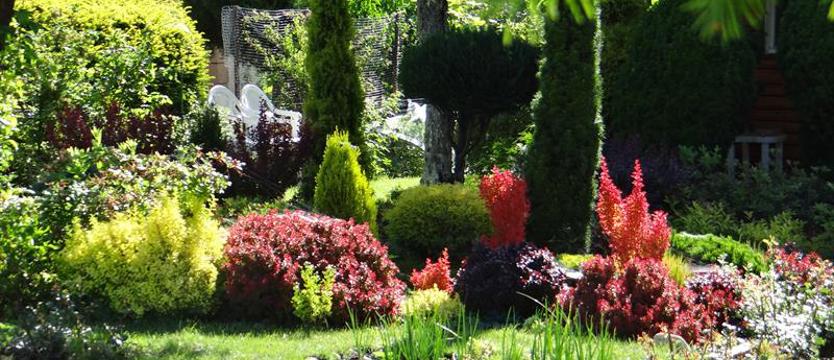 Cały Szczecin w kwiatach. Dwudziestka na finał