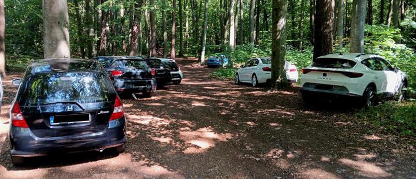 Walka z nielegalnym parkowaniem. Nie będzie słupków w Lesie Arkońskim
