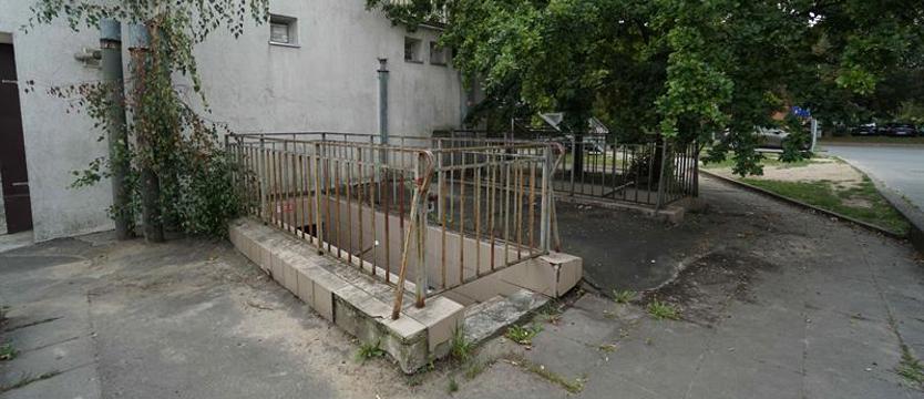 Śmieci zniknęły – szczury pozostały. Problem na Pomorzanach