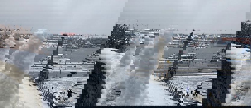 Pierwszy śnieg spadł w Szczecinie