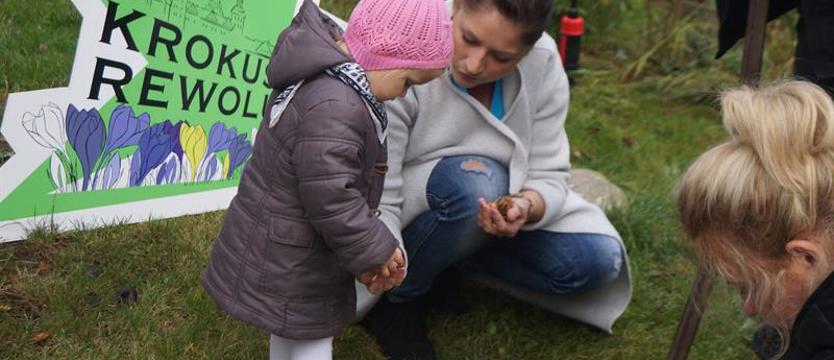 Znów ruszamy na krokusy! Dla ludzi i miasta: póki ziemia nie zamarznie