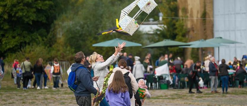 Święto latawców na lotnisku w Dąbiu