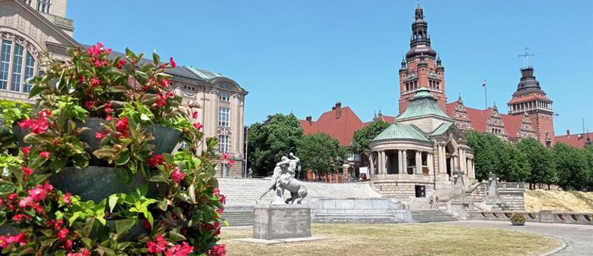 Kwiaty, wieże i Szczecin