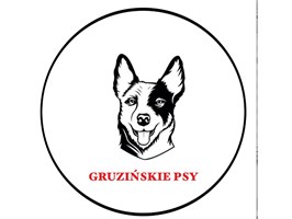 Praktyczna lekcja czułej przedsiębiorczości. „Gruzińskie psy” – społeczny projekt szczecińskich uczniów