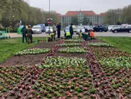 Powstają kwietniki przy pomniku Czynu Polaków