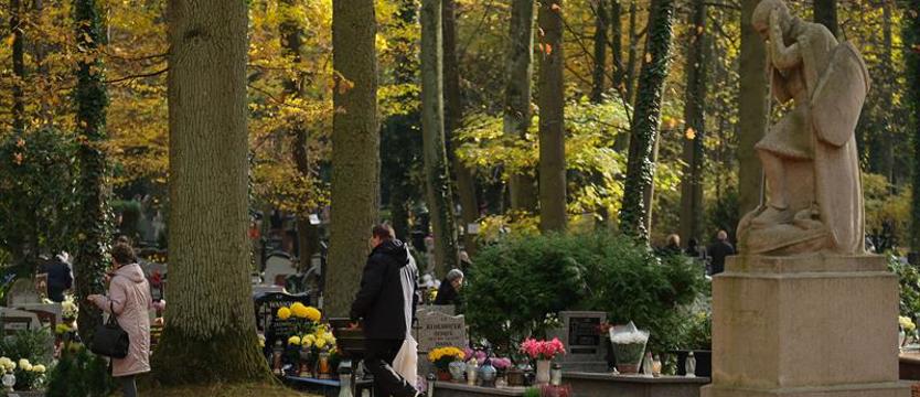 Cmentarz – miejsce szacunku