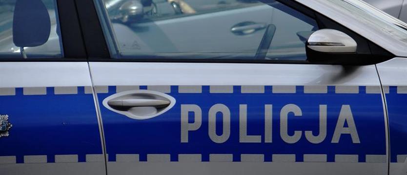 Szczecińscy policjanci zabezpieczyli podróbki