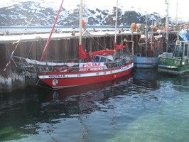 Życzenia z Grenlandii. Samotny żeglarz pozdrawia