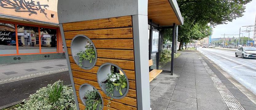 Przystanki (znów) zielone i w kwiatach