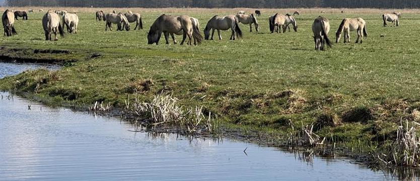 Przyroda konfliktem targana. Kilkadziesiąt spraw w sądzie, pomówienia, skargi, zarzuty