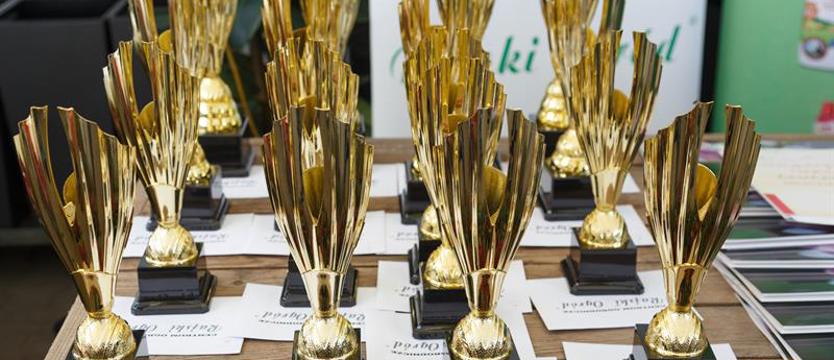 „Cały Szczecin w kwiatach”. Czas na wielką galę!