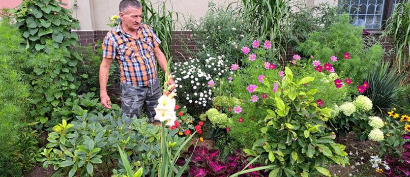 Cały Szczecin w kwiatach i... wszystko jasne!