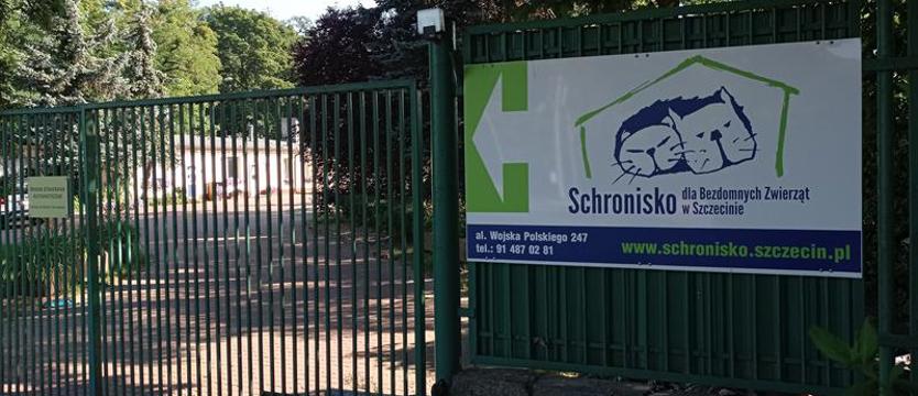Schronisko wkrótce znów będzie otwarte. Od 1 września ponownie ruszą adopcje?