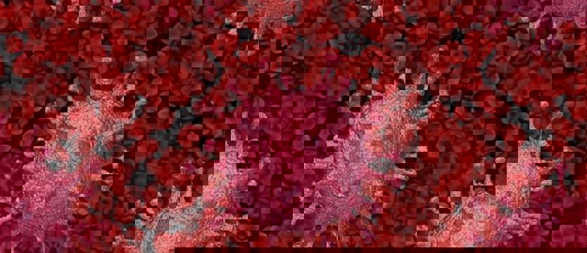 W czwartek w kraju ponad 6 tysięcy nowych zakażeń wirusem SARS-CoV-2. Zmarło 510 osób