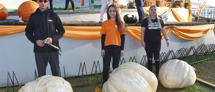 Złota Dynia nad Miedwiem. Okaz przyjechał ze Świdwina