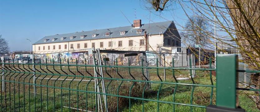 Projekt, przetarg i czas na nowy park. Modra, czyli ninja i białe kwiaty