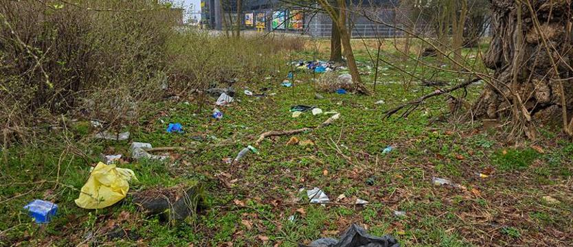 Śmieci przybywa, nie ma komu posprzątać