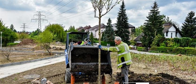Zielony desant na Szczecin. Rajska jabłoń i cała reszta