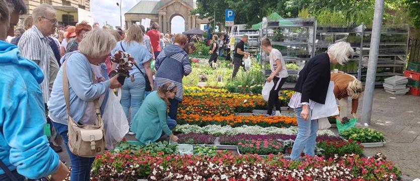Zielony weekend na Wałach Chrobrego. W miejskiej dżungli: ogrody i smaki